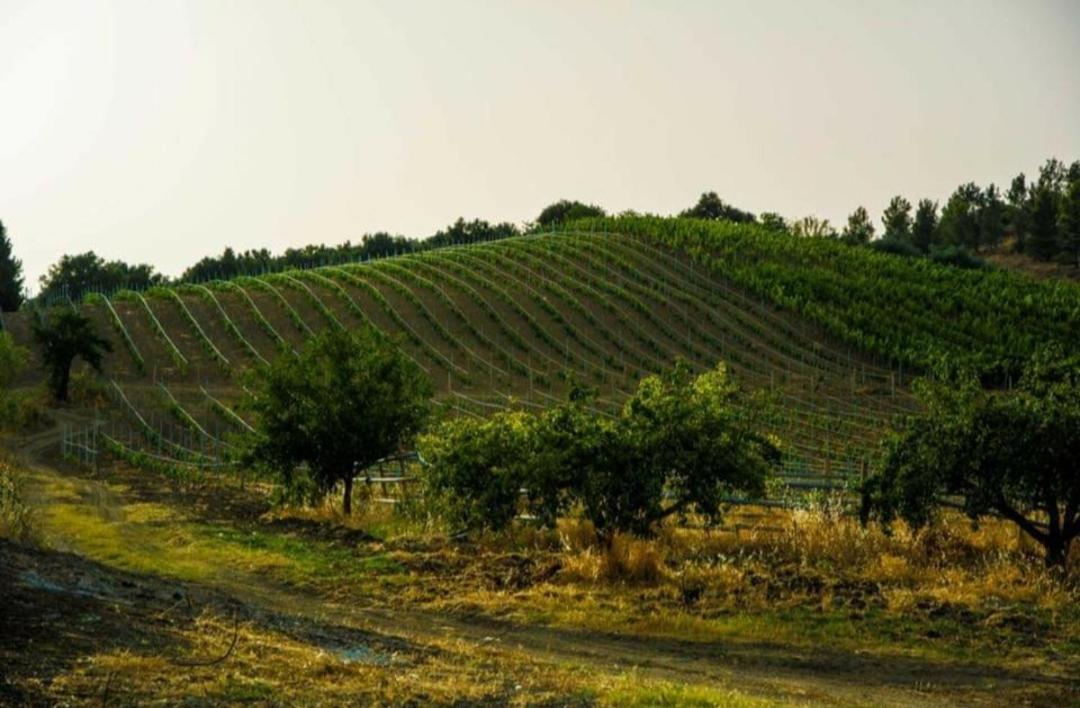 Agriturismo Feudo Tudia Landro Exteriér fotografie